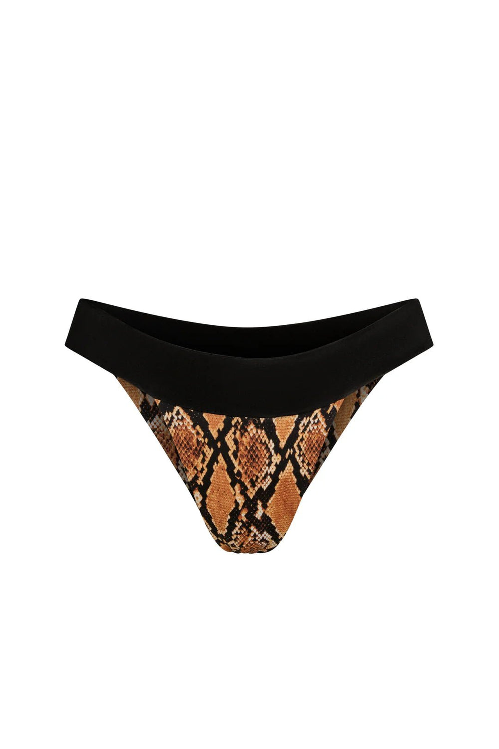 Bronze Python
