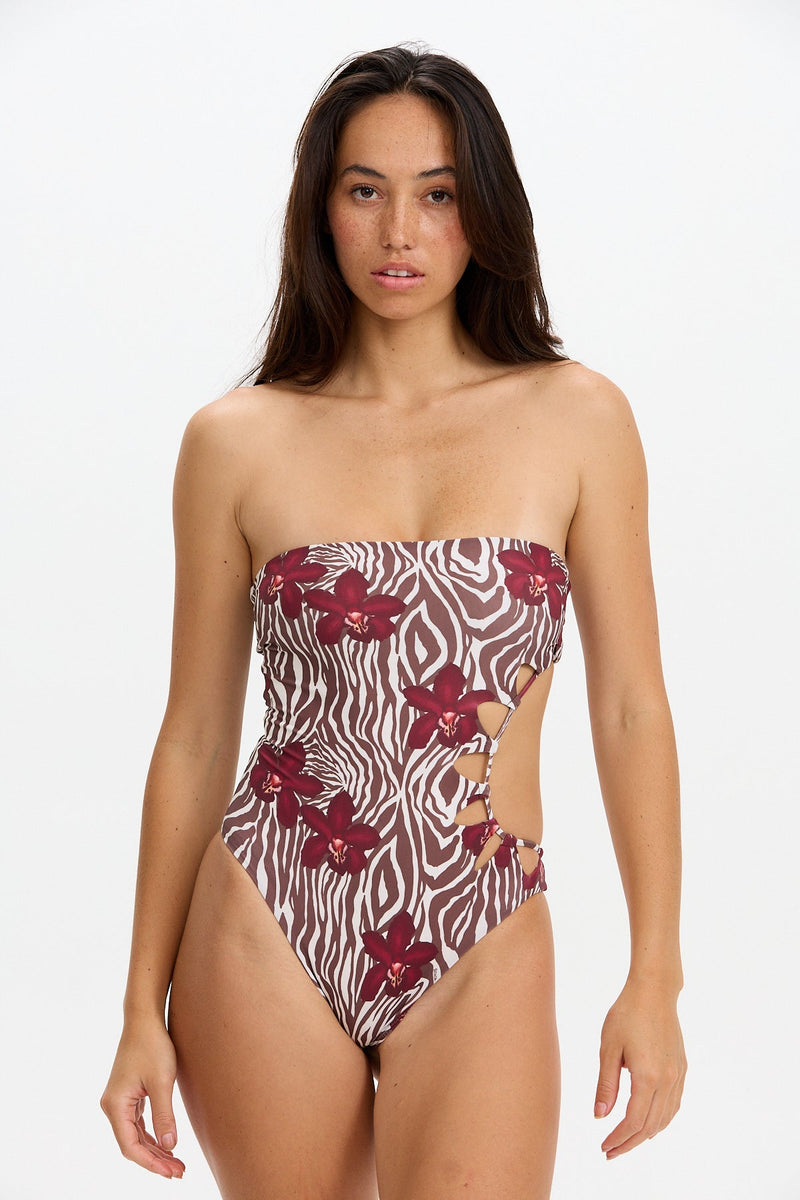 benoa sunny one piece bikini diva zebra print