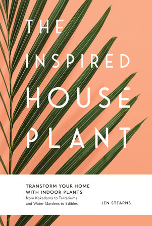 The Inspired Houseplant - Driftwood Maui & Home By Driftwood
