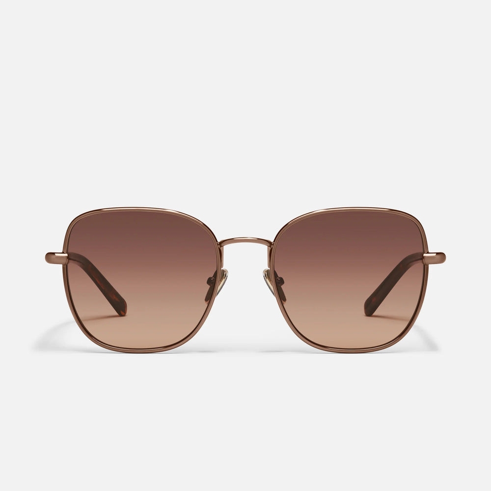 Chocolate/Brown Fawn