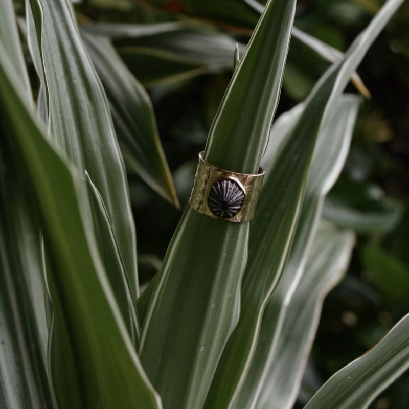 Wide Band Opihi Ring – Driftwood Maui & Coast By Driftwood