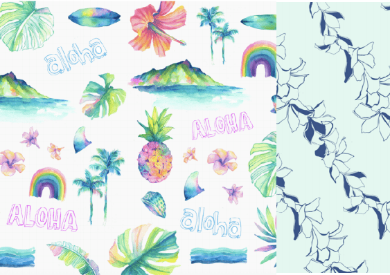 Aloha Hawaii