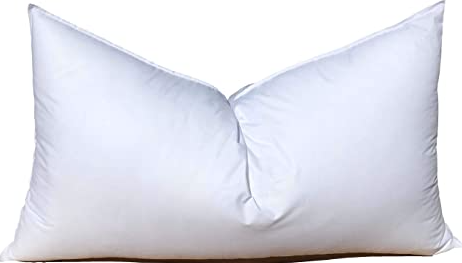 Home Pillow Inserts