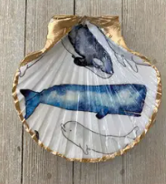 Decoupage Shells - Driftwood Maui & Home By Driftwood