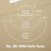 NO. 36: WILD HERB TONIC SOY CANDLE